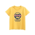 Boys bright yellow dinosaur museum print short sleeve cotton t-shirt with crew neck - 100cm / Yellow