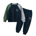Kids tracksuit set with color-block sweatshirt and joggers featuring dinosaur print - 90cm / Royal Blue (Cotton)