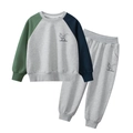 Boys two-piece tracksuit featuring grey, green, and blue patchwork with dinosaur prints - 90cm / Heather Gray (Cotton)