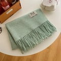 Écharpe épaisse vert pâle en cachemire synthétique avec franges et étiquette tissée - Vert Clair