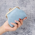 Lichtblauwe vintage mini-portemonnee van kunstleer met gouden kusssluiting - Blauw