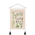 Detail of vintage botanical scroll painting with light wood frame and black tassels - 35x50cm / Poisonous Plants II Style (Style-1)
