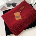 Thick dark red faux cashmere tassel scarf for women with elegant brand tag detail - 70*200cm / Wine Red