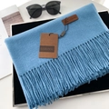 Sky blue cashmere-feel winter scarf for women with tassels and elegant leather patch - 70*200cm / No.44 Light Blue