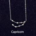 Collar de plata de ley S925 con signo Capricornio y circonitas brillantes - Capricornio (S-N487)