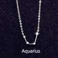 Collar constelación Acuario en plata S925 con piedras de circonita blanca brillantes - Acuario (S-N488)
