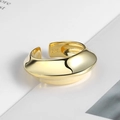 Macro detail of gold plated S925 sterling silver ring showing the internal hallmark - Arc Convex Dome Style (R708)