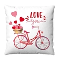 Federa in peluche bianca con bicicletta rossa, palloncini a cuore e scritta LOVE you - Stile Bicicletta Cuore (1) / 45*45cm (Peluche Corto)