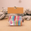 Colorful mini wooden clips set for DIY photo wall decor and creative craft projects - Colored Clips / Colorful