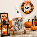 Halloween gnome with white spider hat and grey beard standing in a festive autumn setting - White Spider Gnome