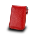 Red lychee grain leather card holder with silver zipper and accordion style slots - Red
