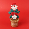 Dettaglio del Babbo Natale all'uncinetto fatto a mano in vaso con etichetta in pelle - Foglia Blu Profondo (Pianta in Vaso di Fagioli Rossi di Babbo Natale)