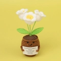 Handmade crochet lily of the valley potted plant with emotional support message card - White Lily of the Valley