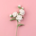 Handgemaakt gehaakt jasmijnboeket met witte bloemen en groene bladeren op roze achtergrond - Witte Jasmijn Tak