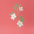 Dettaglio di fiori di gelsomino fatti all'uncinetto con stami gialli e foglie verdi - Bianco
