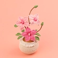 Handgefertigte gehäkelte Clematis Topfpflanze mit rosa Blüten und grünen Blättern - Rosa Waldreben-Topfpflanze mit Farbverlauf