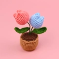 Planta de tulipanes de ganchillo hecha a mano con flores de lana rosa y azul sobre rosa - Tulipán con Degradado de Doble Cabeza (Azul-Rosa) (Maceta de Lana con Encaje)