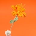 Handgefertigte gehäkelte orange Lilie in einer weißen Vase auf farbigem Hintergrund - Orange