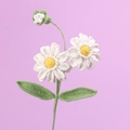 Handgehäkelte Gänseblümchen mit weißen Blüten und gelber Mitte auf lila Hintergrund - Weiß