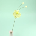 Gros plan sur une orchidée phalaenopsis au crochet avec deux petits boutons et pétales - Vert