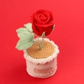Handmade crochet red rose potted plant with beige base on vibrant red background - Red