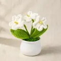 Handmade crochet forget-me-not flowers in white ceramic pot for home desk decor - White Forget-Me-Not (3-Head)