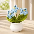 Detail of hand-crocheted forget-me-not blue flowers in a white ceramic mini pot - Blue Forget-Me-Not (3-Head)