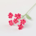 Macro shot of handmade crochet forget-me-not flowers in peach pink and green yarn - Forget-Me-Not Branch / Rose Red