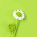 Detailed close-up of a handmade crochet daisy with white petals and green stem on green background - Green Core White Border Daisy Bouquet