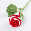Detailed view of handmade crochet rose with red and white petals and green leaves - White Red Edge