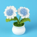 Close-up of handmade crochet daisy flowers in a white ceramic pot with green moss detail - Blue Core White Edge