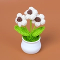 Planta de flores blancas tejida a mano a ganchillo para decorar hogar o coche - Marrón