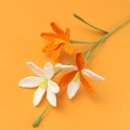 Detail der handgefertigten Häkelblumen mit orangefarbenen Blütenblättern und Stielen - Orange