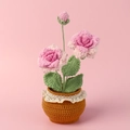 Handgefertigte gehäkelte rosa Rose im Topf mit Spitze für die Schreibtischdeko - 2 Blumen 1 Knospe Rose Topfpflanze / Rosa