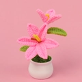 Detail of handmade crochet pink lily in a white pot with soft knitted texture - Hot Pink