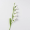 Handmade crochet freesia flower with white petals and green leaves on white background - Meng Si Freesia (6 Flowers) / White