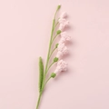 Handmade crochet freesia flower in soft pink and green for home decor and bouquet gift - Meng Si Freesia (6 Flowers) / Pink