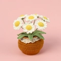Handmade crochet daisy potted plant with white petals and orange pot on pink background - White