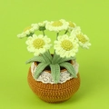 Close-up detail of crochet daisy petals and white lace trim on the brown knitted pot - Green