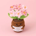 Pink handmade crochet flower plant in smiling pot with emotional support message card - Gradient Pink Forget-me-not