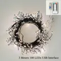 Guirlande lumineuse USB 3m 100 LED blanc chaud avec télécommande multifonctionnelle - 3m 100LED Fil Noir USB 8 Modes Télécommande