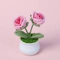 Roses roses faites à la main au crochet dans un petit pot blanc pour le bureau - Rose Dégradé
