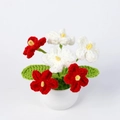 Detailed close-up of handmade crochet flower pot with red and white knit blossoms - Gradient Red