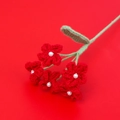 Detailed view of handmade red crochet flowers with white pearl center and green stems - Red
