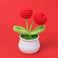 Handmade crochet red flower potted plant with white ceramic vase on a vibrant red backdrop - Finished Small Apple Potted Plant (Simple Style)