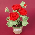 Plante de roses rouges crochetées à la main avec décor coccinelle et pot en chanvre - Hauteur 31cm / Rouge (Bonne affaire)