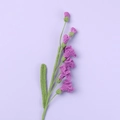 Fleur de freesia violette faite à la main au crochet sur fond lavande doux - Type multi-fleurs / Violet