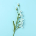 Fleur de frésia crochetée à la main bleu clair avec tige verte sur fond bleu uni - Type multi-fleurs / Rose bonbon