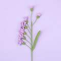 Fleur de freesia faite à la main au crochet violette avec tige pour décoration florale - Type multi-fleurs / Mauve Clair