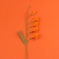 Fleur de freesia orange faite à la main au crochet avec tige sur fond orange vif - Style de Fleur Standard / Orange